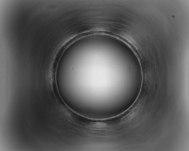 X0000090701119200707201152