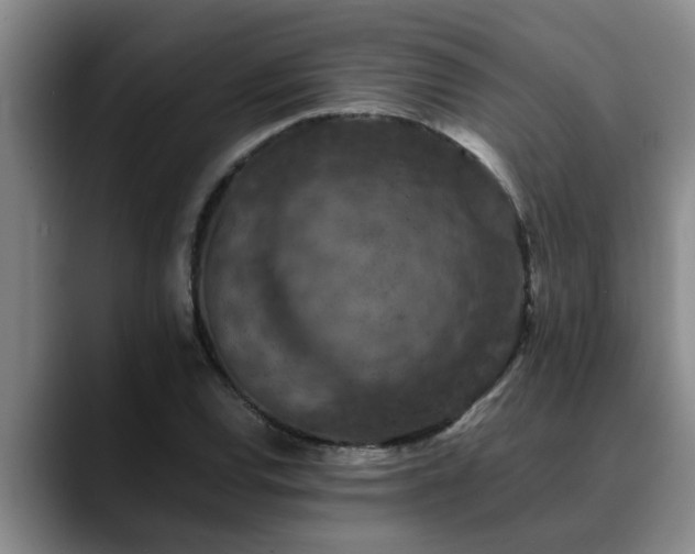 X0000090701120200707201152