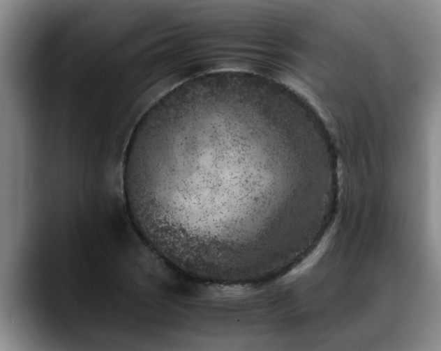 X0000090701121200707201152