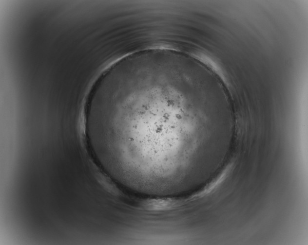 X0000090701125200707201152