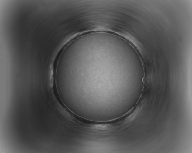 X0000090701126200707201152