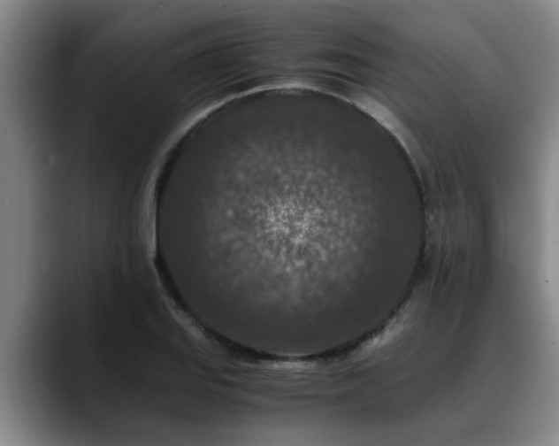 X0000090701127200707201152