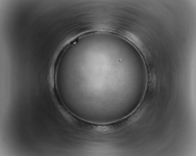 X0000090701128200707201152