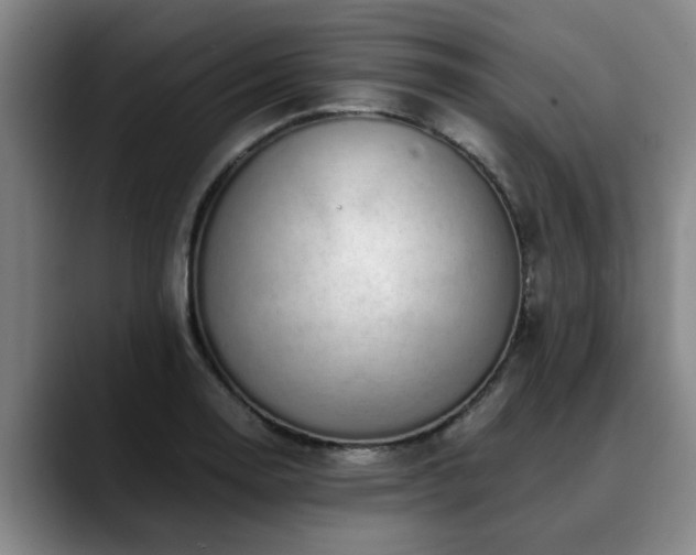 X0000090701130200707201152