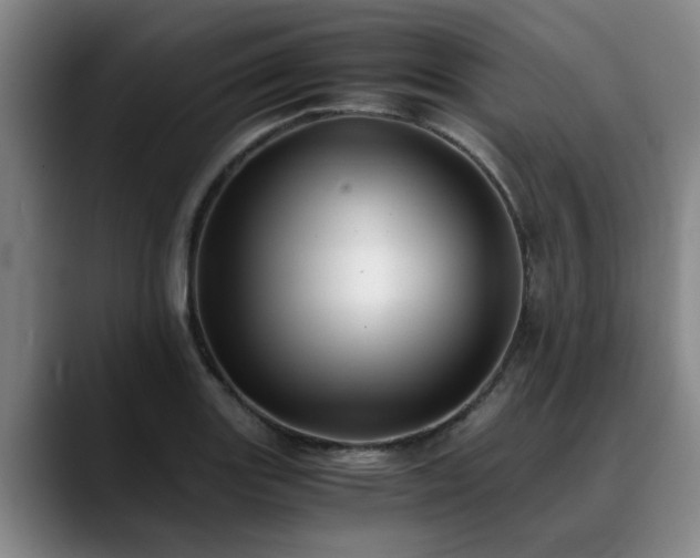 X0000090701131200707201152