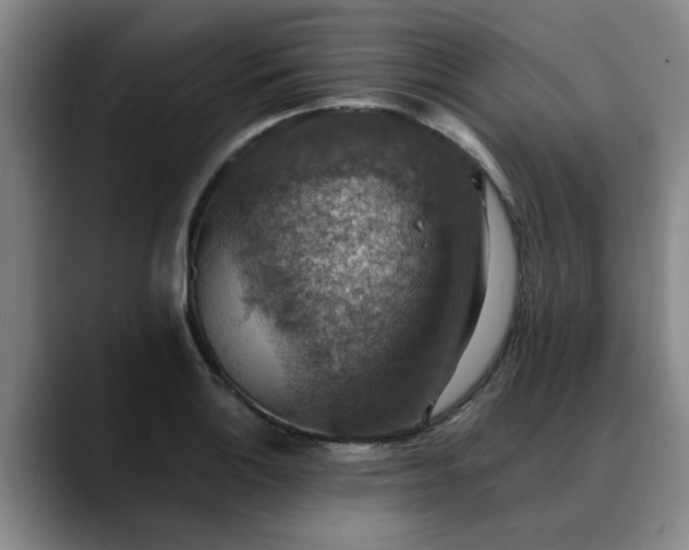 X0000090701132200707201152