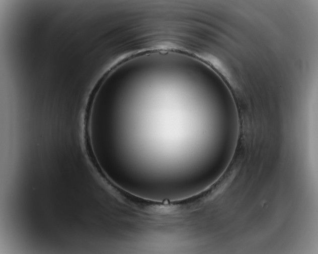 X0000090701134200707201152