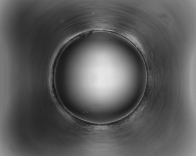 X0000090701136200707201153