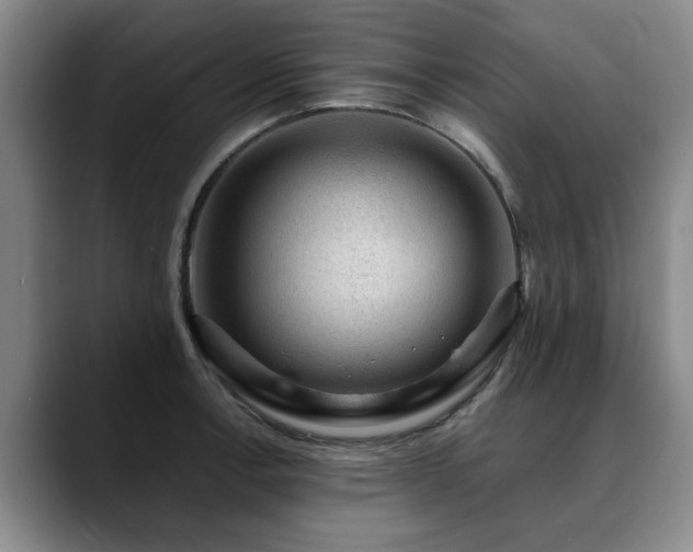 X0000090701138200707201153