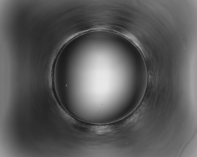 X0000090701143200707201153