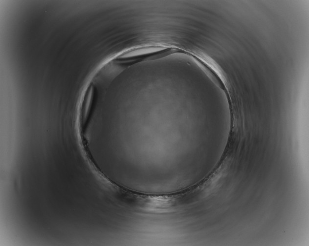 X0000090701144200707201153