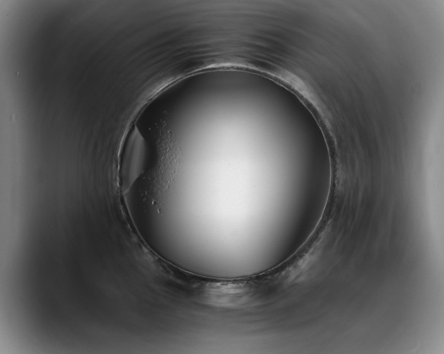 X0000090701145200707201153