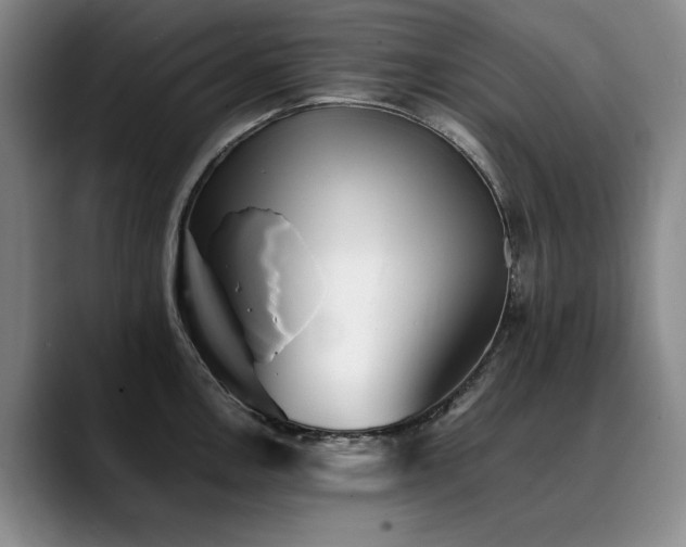 X0000090701146200707201153
