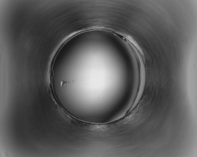 X0000090701148200707201153