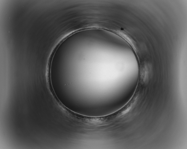 X0000090701149200707201153