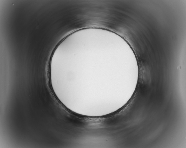 X0000090701150200707201153