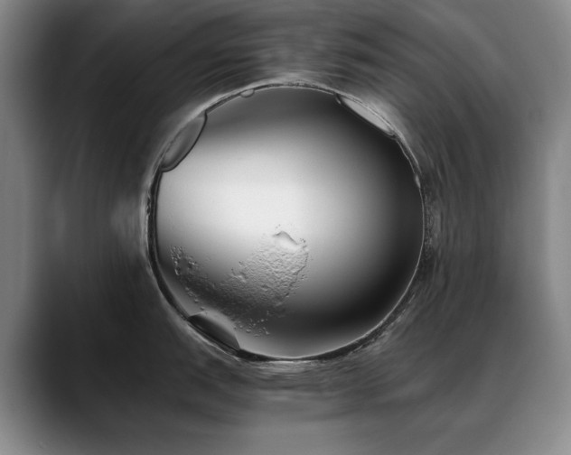 X0000090701151200707201153