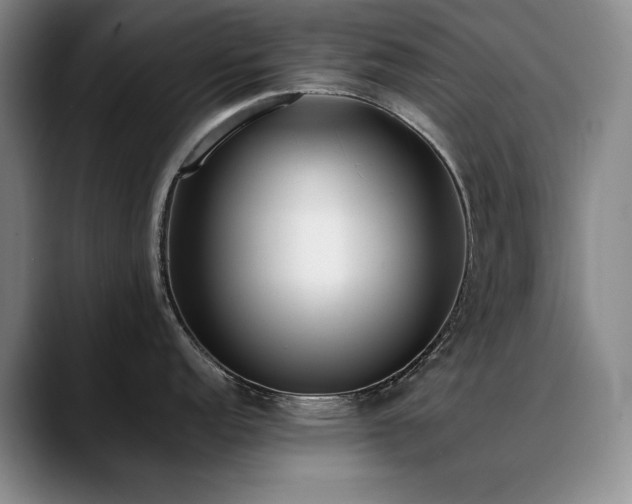 X0000090701152200707201153