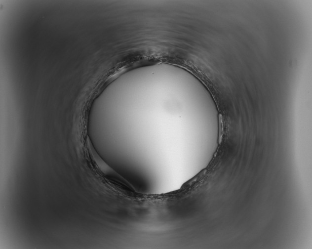 X0000090701153200707201152