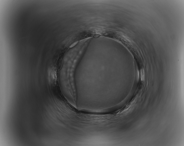 X0000090701155200707201152