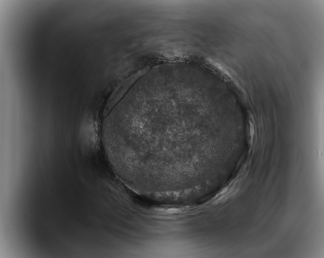X0000090701156200707201152