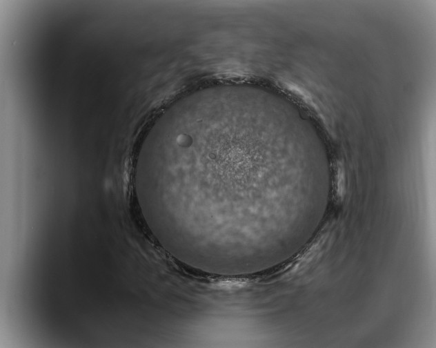 X0000090701157200707201152