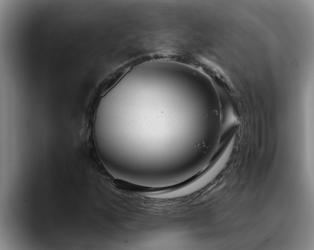 X0000090701160200707201152