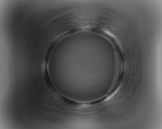 X0000090701161200707201152