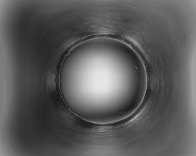 X0000090701163200707201152