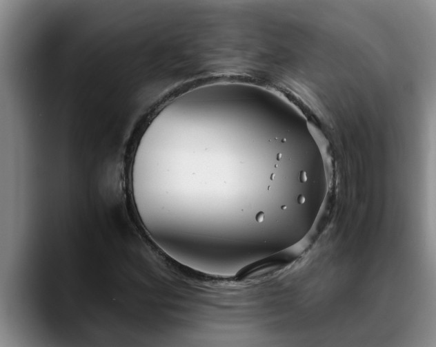 X0000090701164200707201152