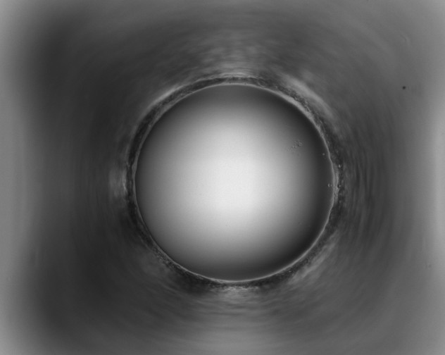 X0000090701166200707201152