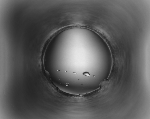 X0000090701168200707201152