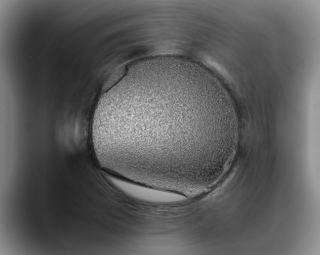 X0000090701169200707201152
