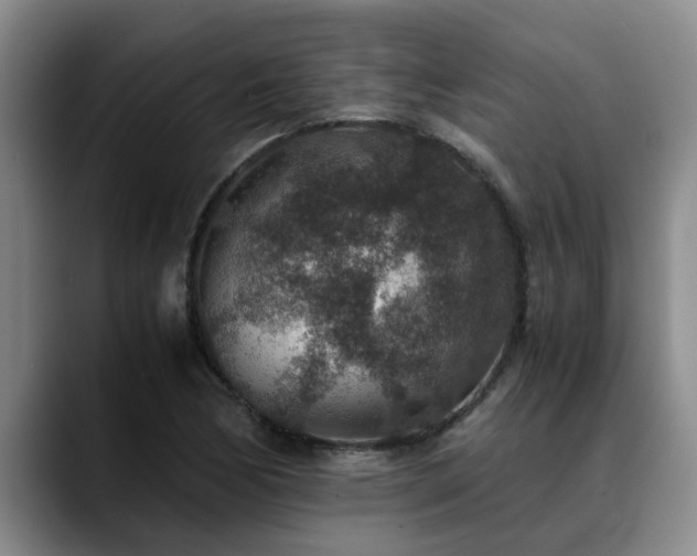 X0000090701170200707201152