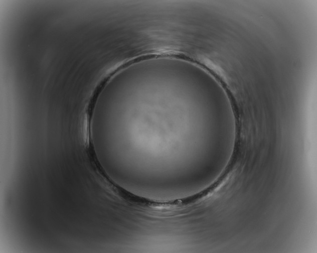 X0000090701171200707201152