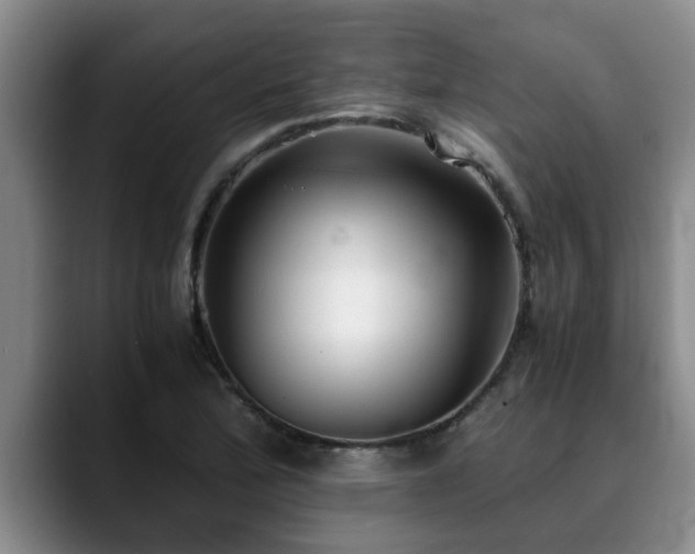 X0000090701172200707201152