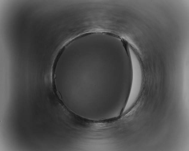 X0000090701173200707201152