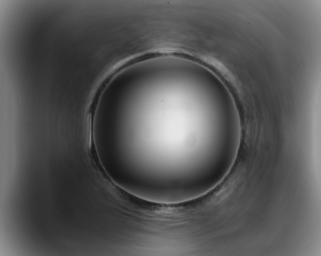 X0000090701175200707201152