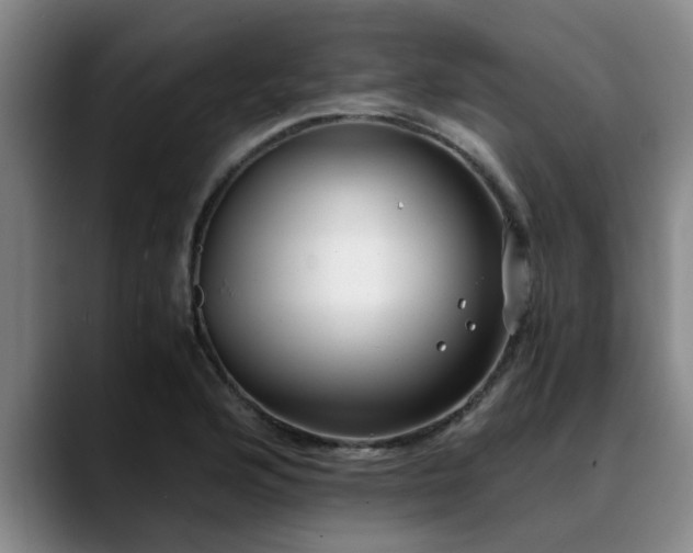 X0000090701176200707201152