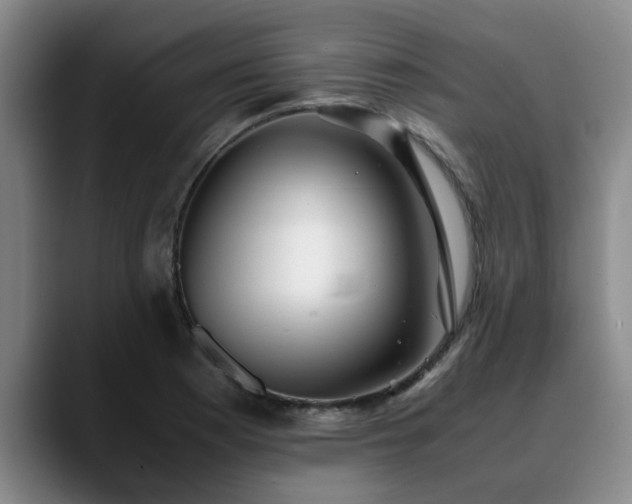 X0000090701177200707201152