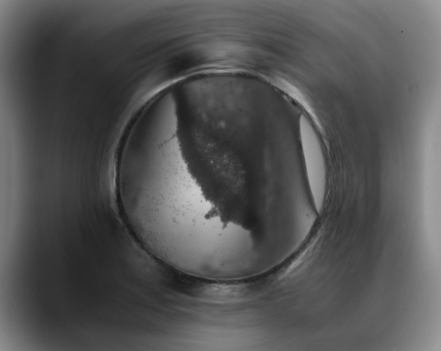 X0000090701179200707201152
