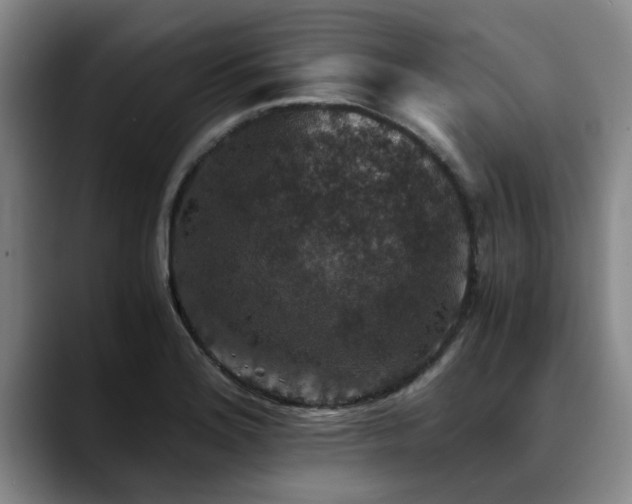 X0000090701180200707201152