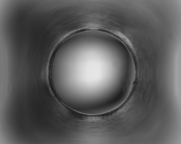 X0000090701183200707201152
