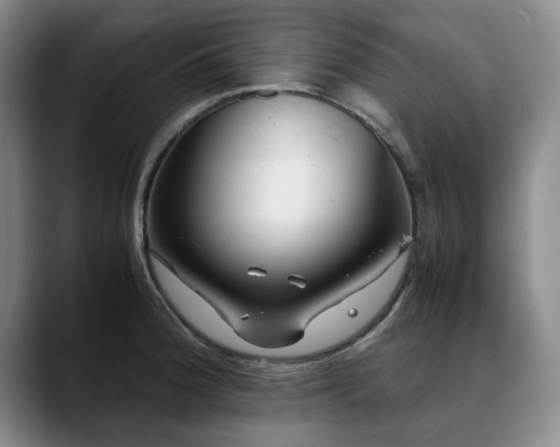 X0000090701188200707201152