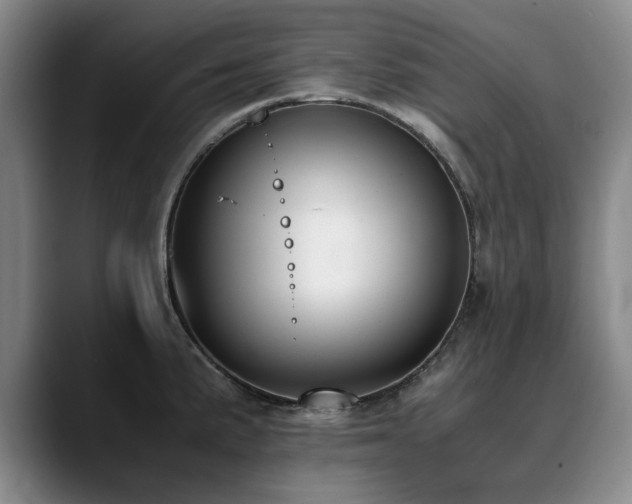 X0000090701191200707201152