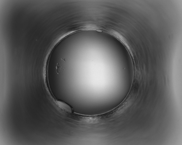 X0000090701195200707201152