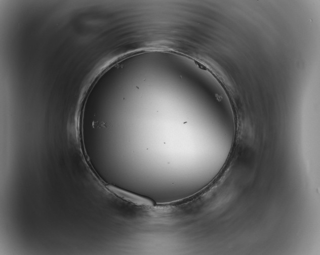 X0000090701196200707201152