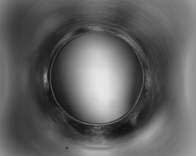 X0000090701198200707201152