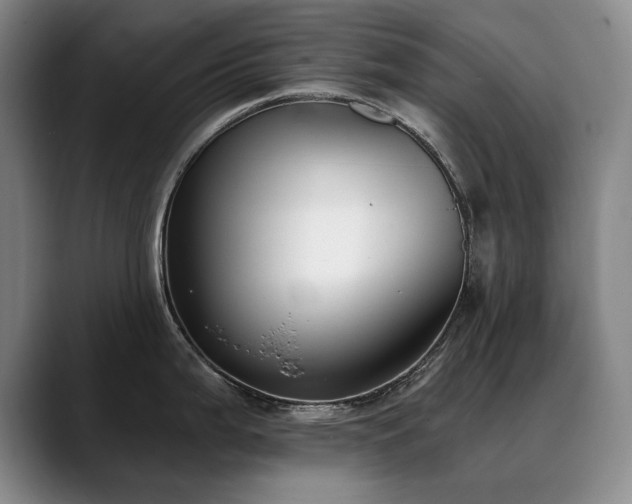 X0000090701199200707201152