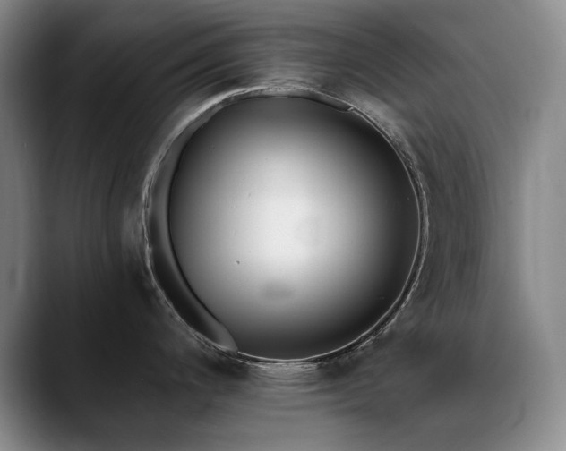 X0000090701200200707201152
